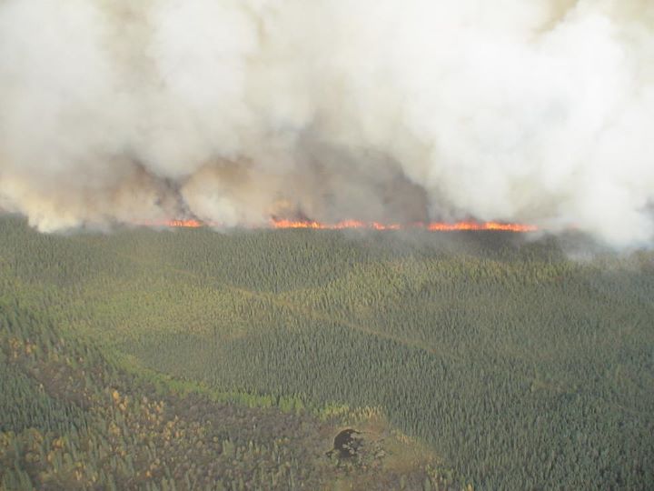 Image of a forest fire and smoke